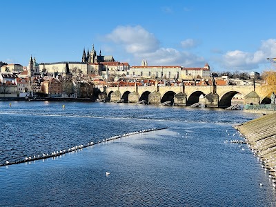 Charles Bridge