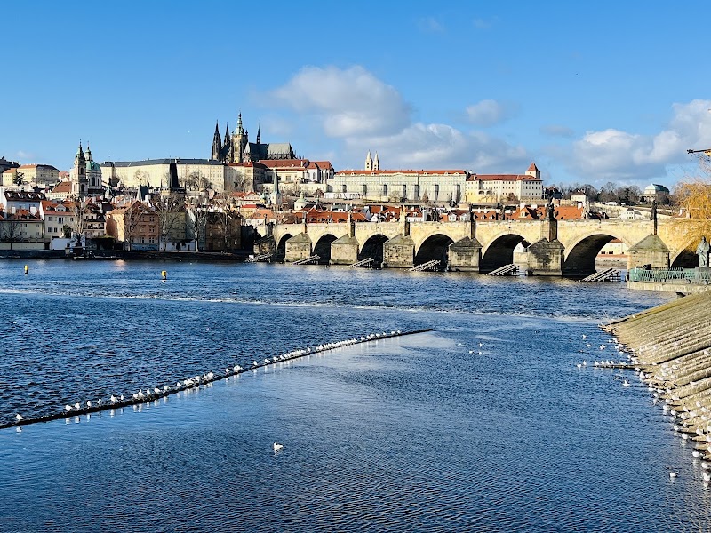 Charles Bridge