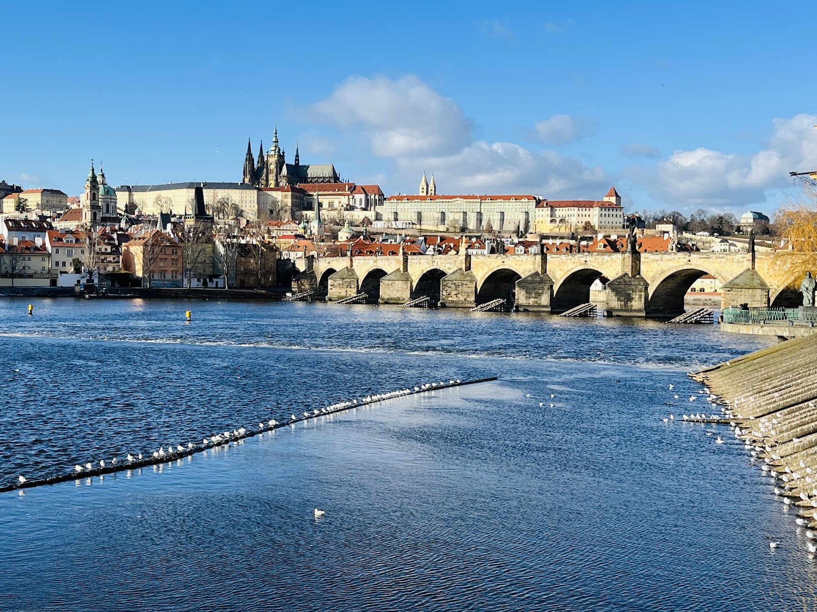 Charles Bridge