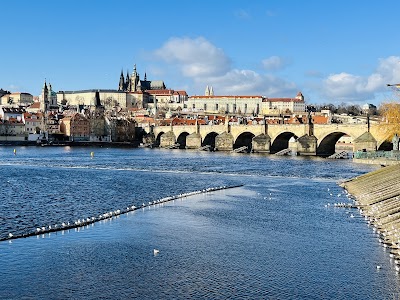 Charles Bridge
