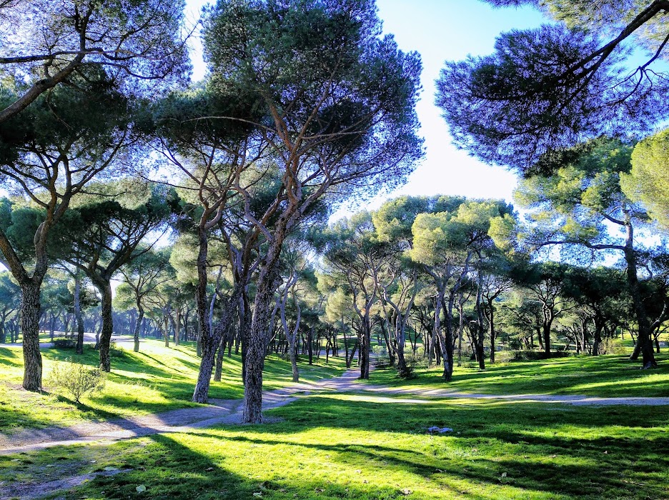 Parque Dehesa de la Villa fotoğraf 1