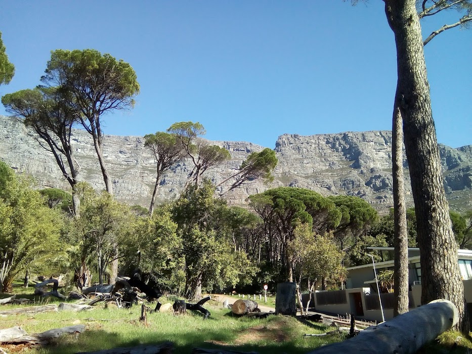 Deer Park fotoğraf 1