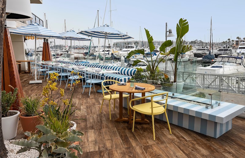 SALT Restaurant & Bar