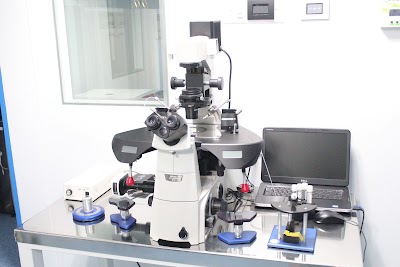 Neelkanth IVF And Fertility Center | Best IUI, ICSI & IVF Treatment in Udaipur - Image 3