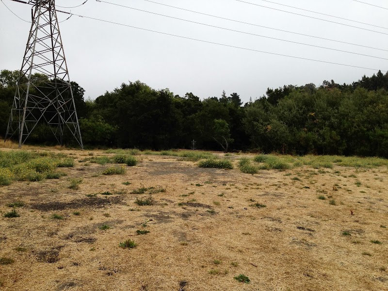 Moraga Disc Golf photo 4