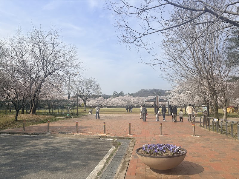 대청공원 무장애나눔길 사진 5