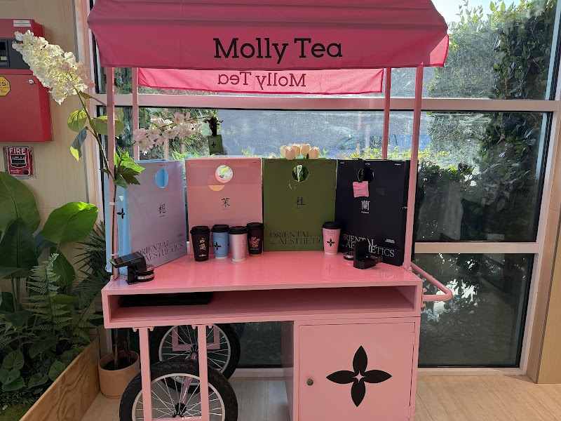 Molly Tea (San Gabriel) photo 4