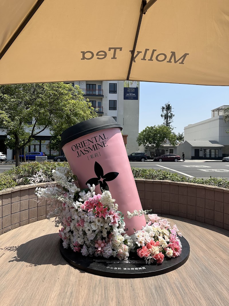 Molly Tea (San Gabriel) photo 4