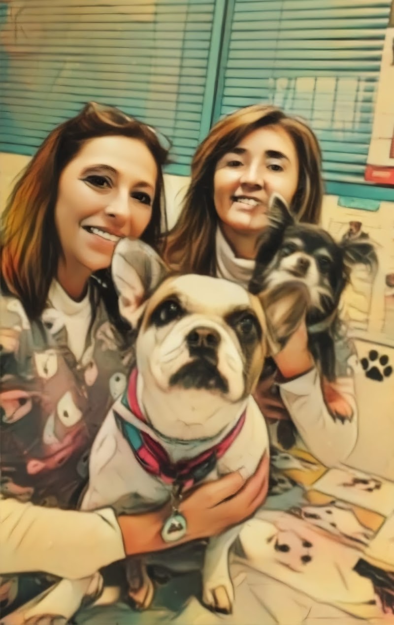 Clinica Veterinaria Portacoeli (nervión-sevilla)