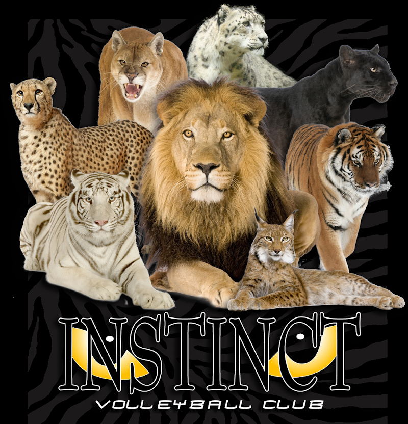 Instinct Volleyball Club