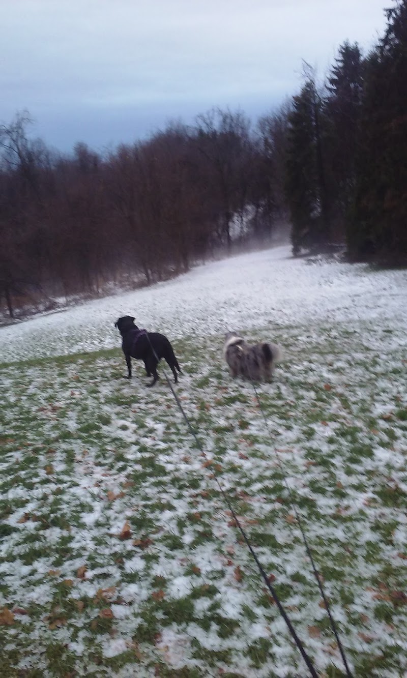 Monroeville Park Disc Golf Course photo 3