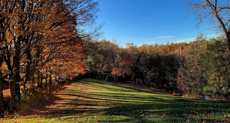 Monroeville Park Disc Golf Course photo 4