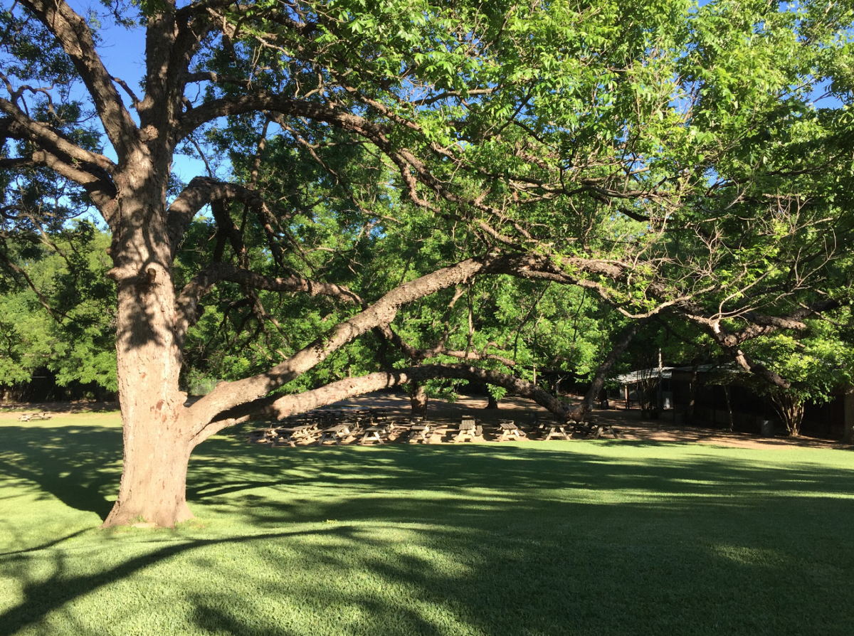 Shady Springs Party Barn: Google Places image 2