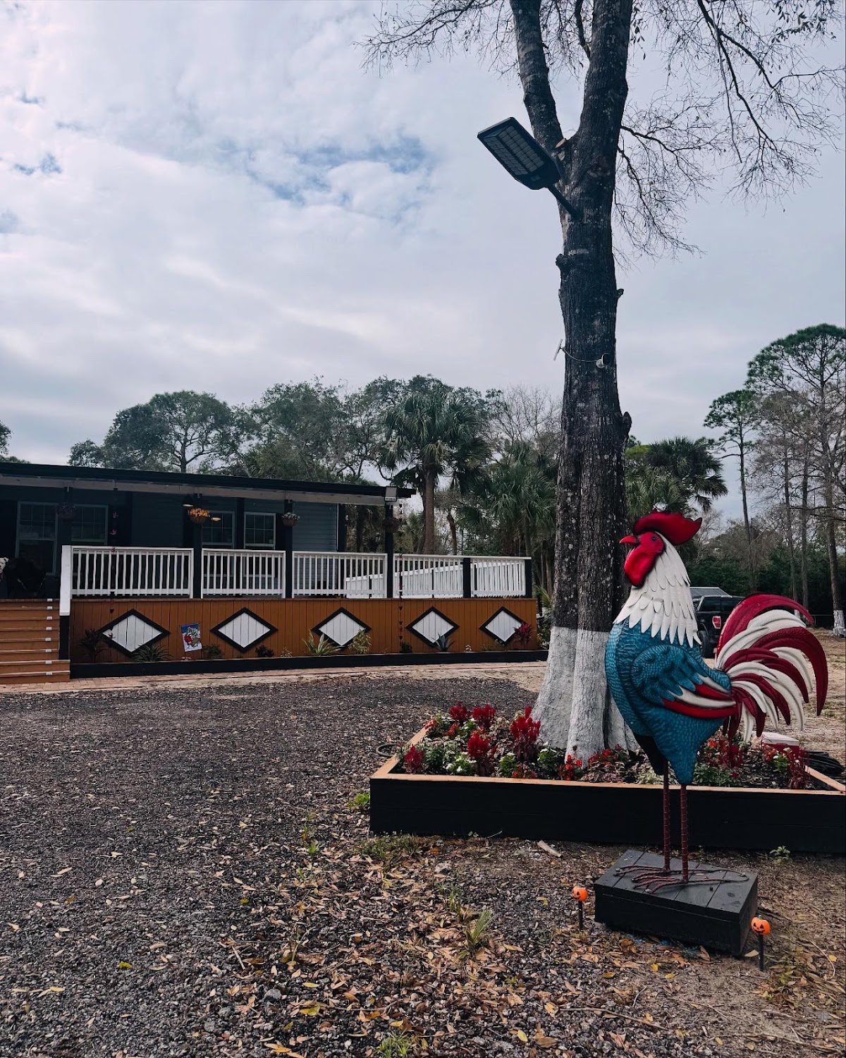 Rancho Rosa