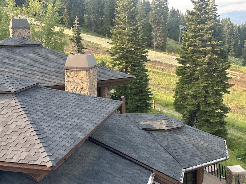 Blue Goat Roofing photo 3