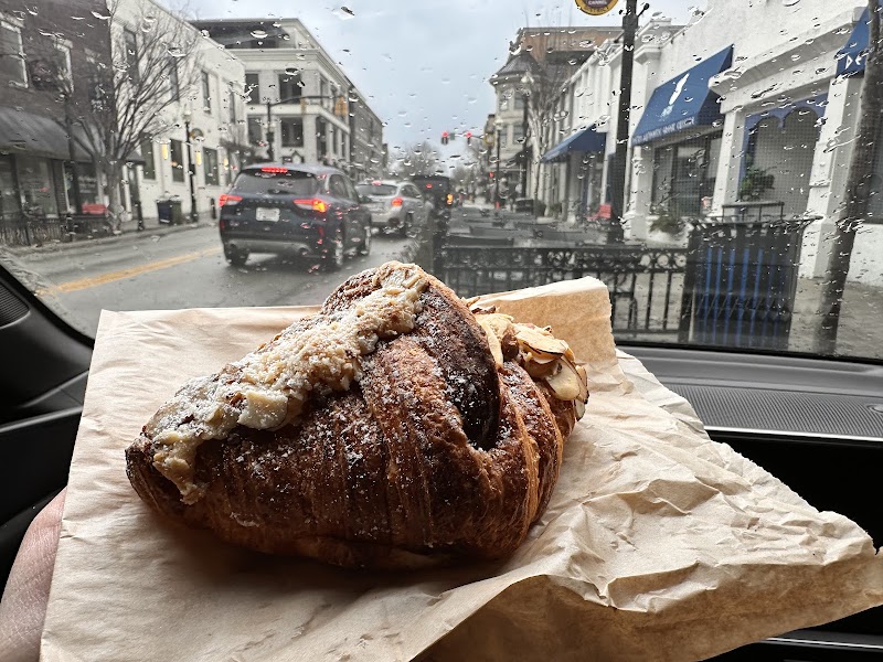 Bovaconti Coffee photo 2