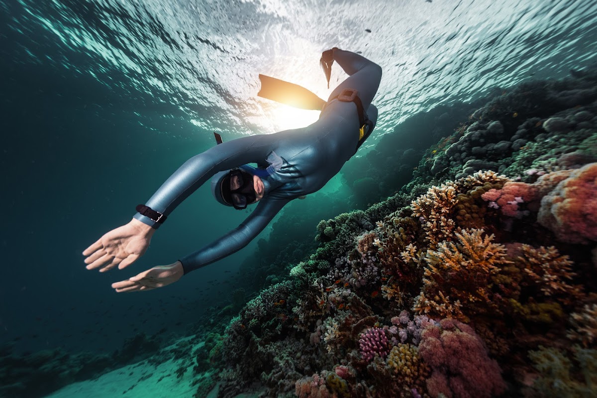 Freedive Nusa - Freediving School