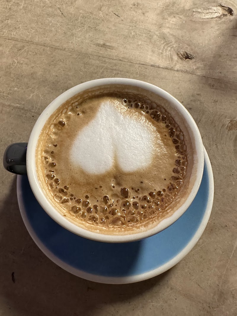 Snakes & Lattes College photo 4