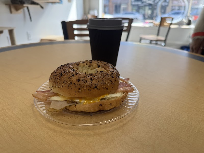 Round-A-Bout Bagels Cat Cafe photo 2