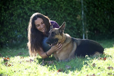 וטרינרית עד הבית בשרון- ד״ר מאיה גרוס וולק