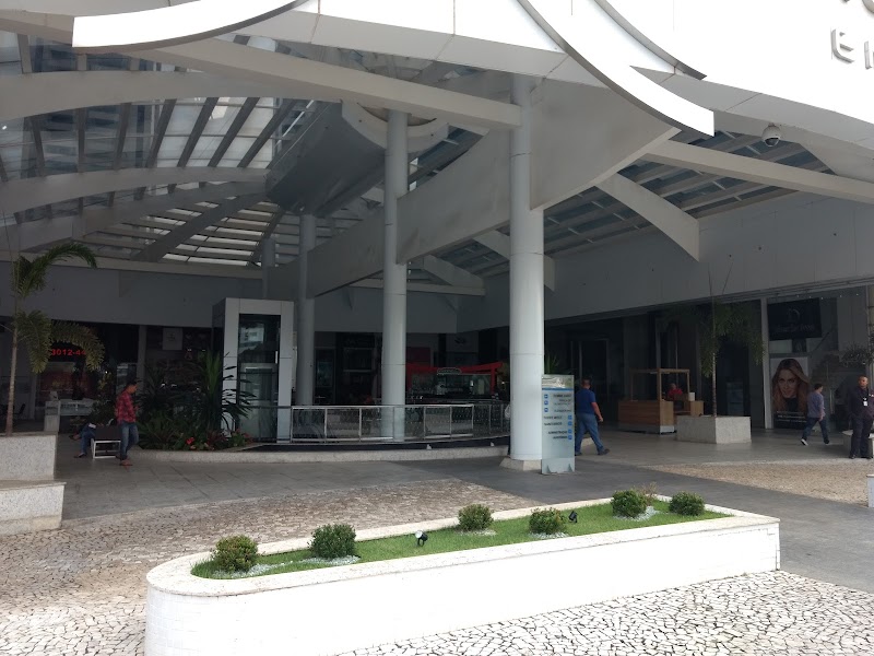 Drª Sara Miranda - foto 2