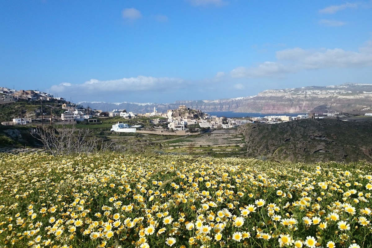 Santorini Walking Tours