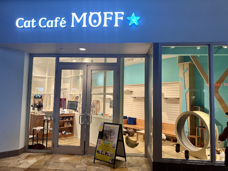 Cat Café MOFF International Market Place