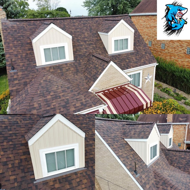 Apolinar Roofing photo 1