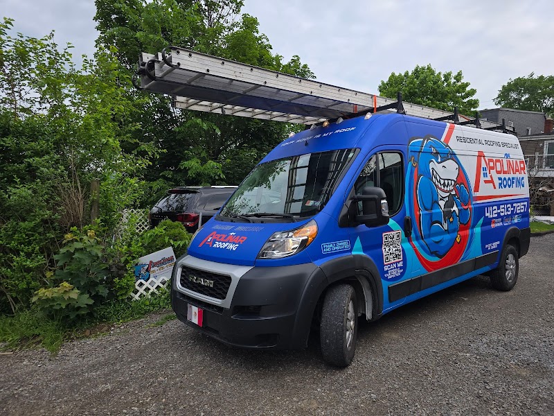 Apolinar Roofing photo 5