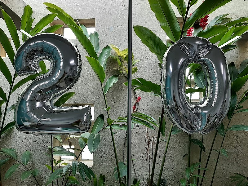 Dra. Yara Regina A. Campos- Esp. Ortodontia E Ortopedia Facial, DTM e Dor Orofacial. Capac. em Harmonização e Apneia do Sono - foto 3