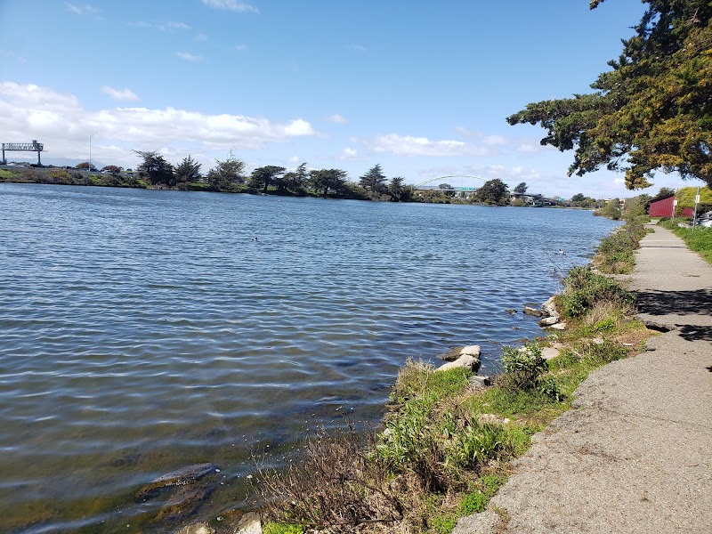 Aquatic Park Disc Golf Course photo 1