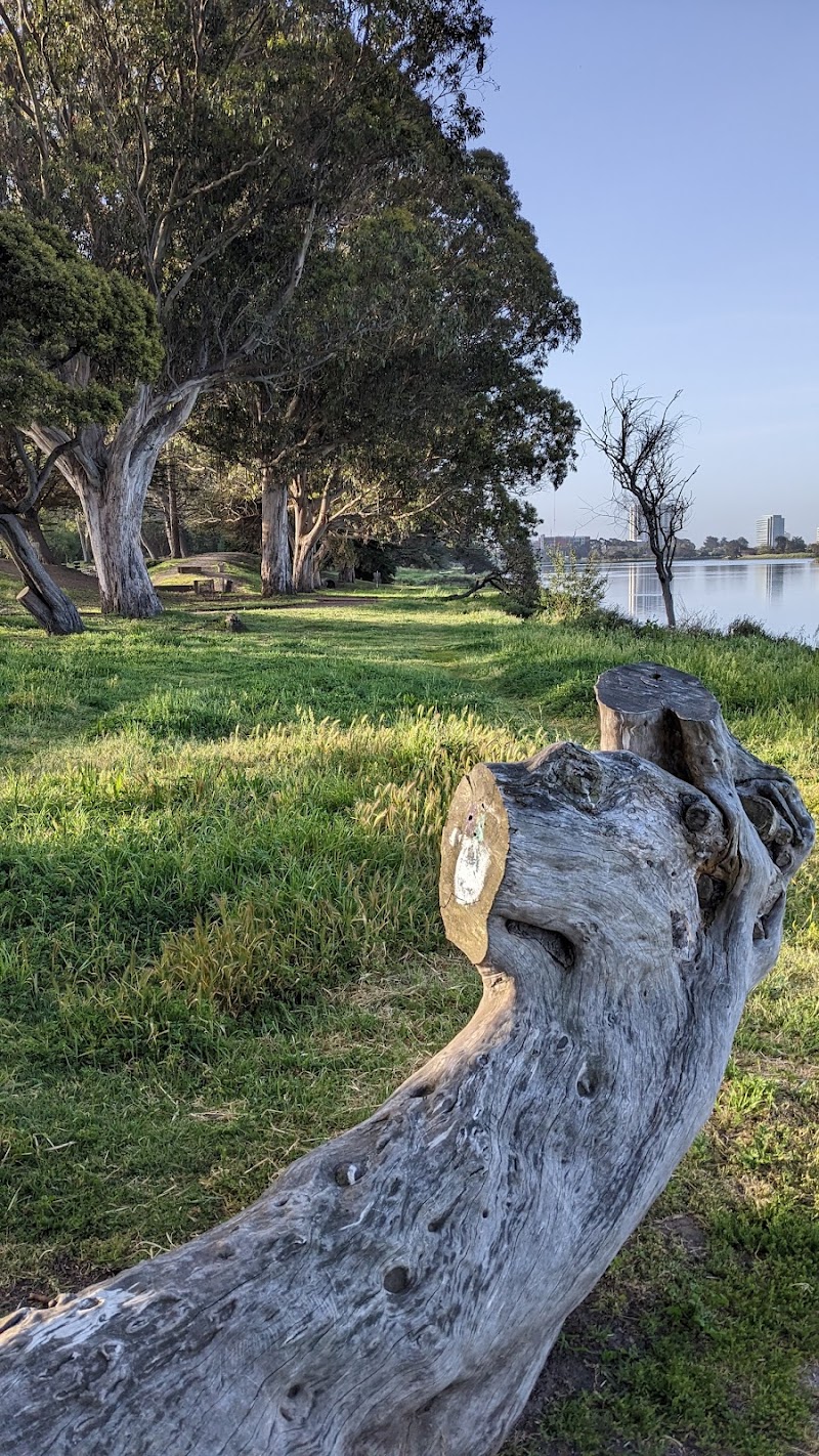 Aquatic Park Disc Golf Course photo 3