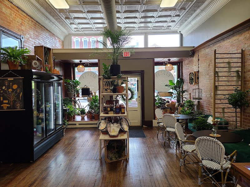 Herban Coffee and Blooms photo 1