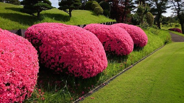 Hachioji Country Club - Photo 10