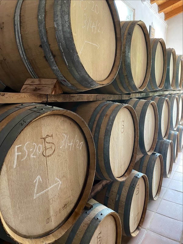 BODEGA F-SCHATZ