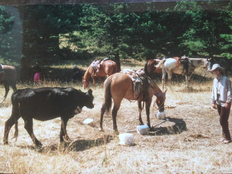 Flynn Ranch Vacations/Hunting - Photo 1