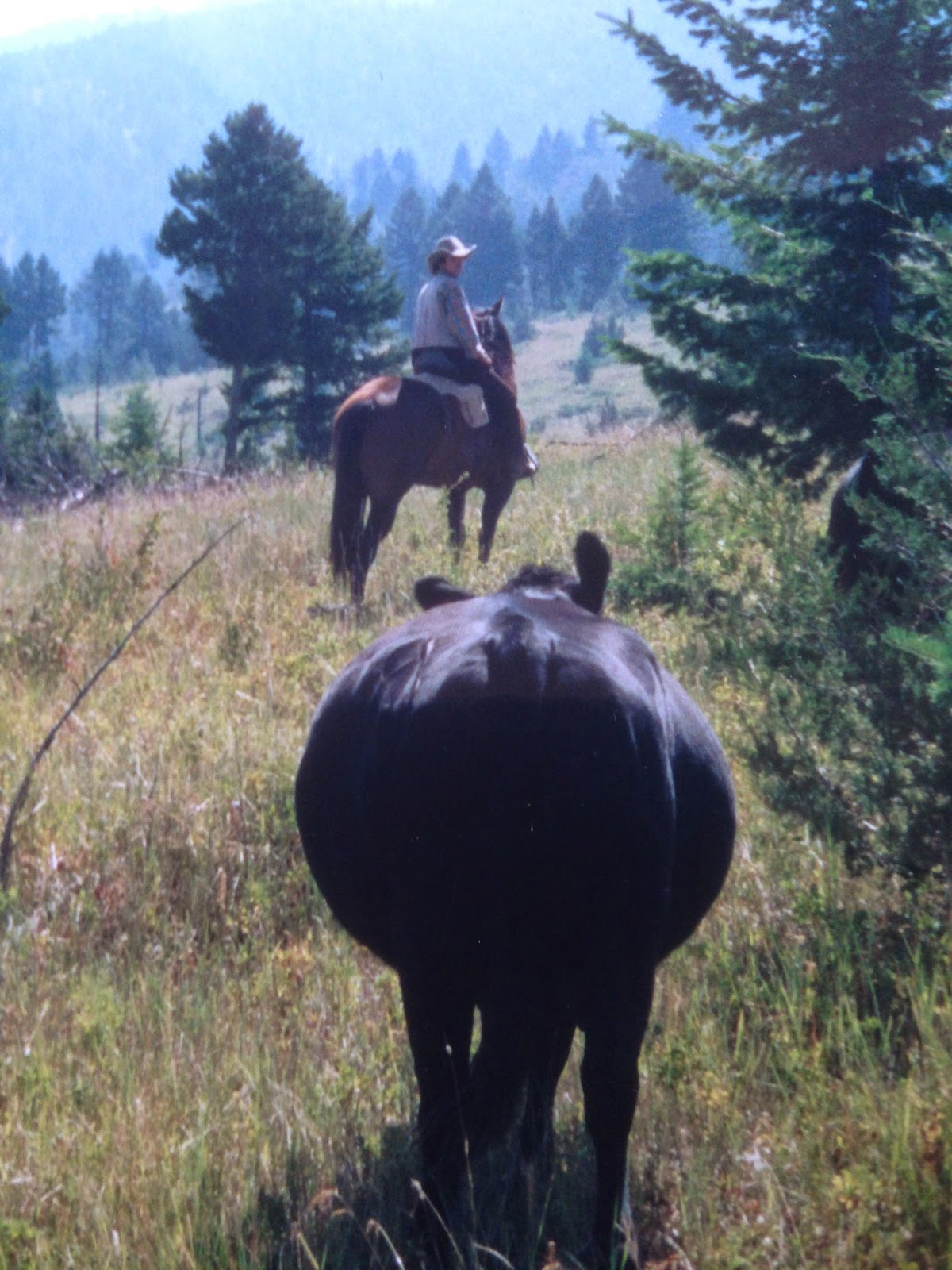 Flynn Ranch Vacations/Hunting