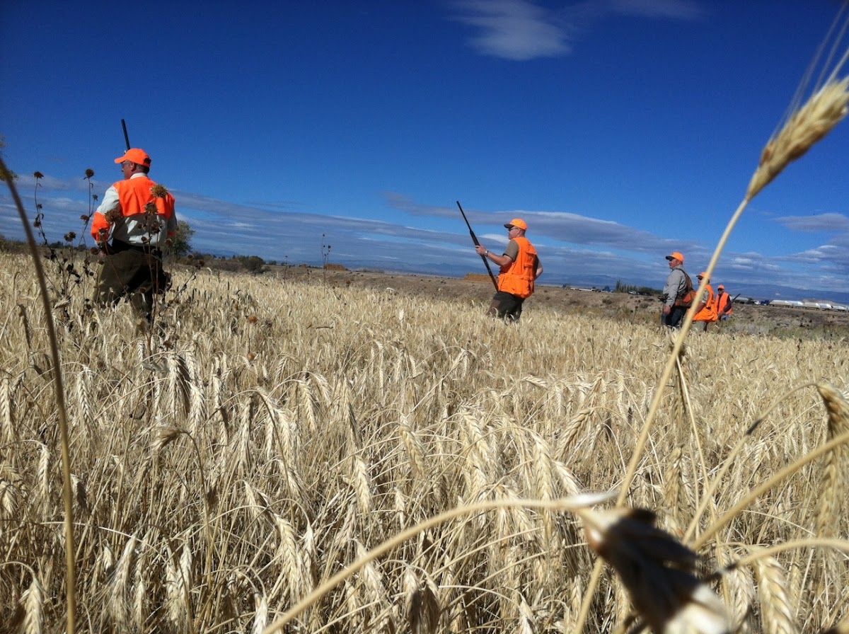 Pleasant Valley Hunting Preserve