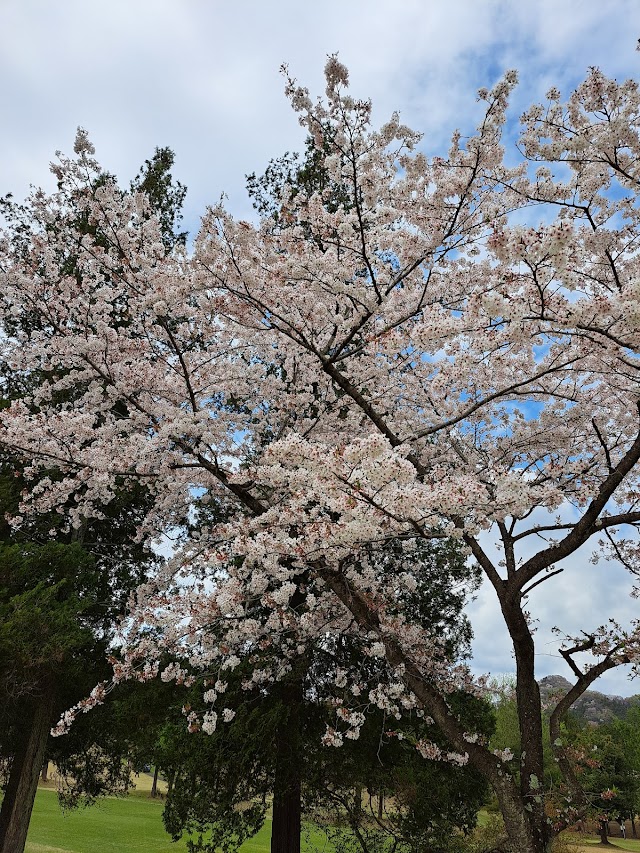 Tokyo Itsukaichi Country Club - Photo 7