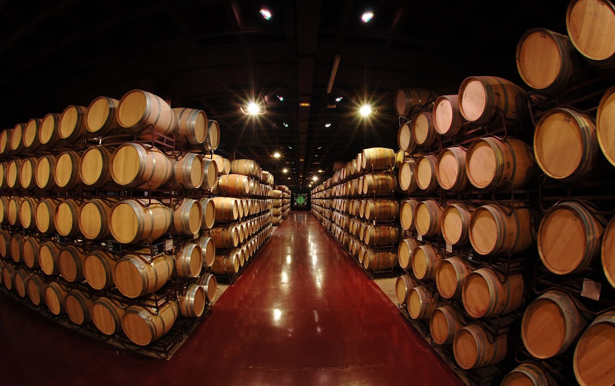 Bodegas Viña Mayor
