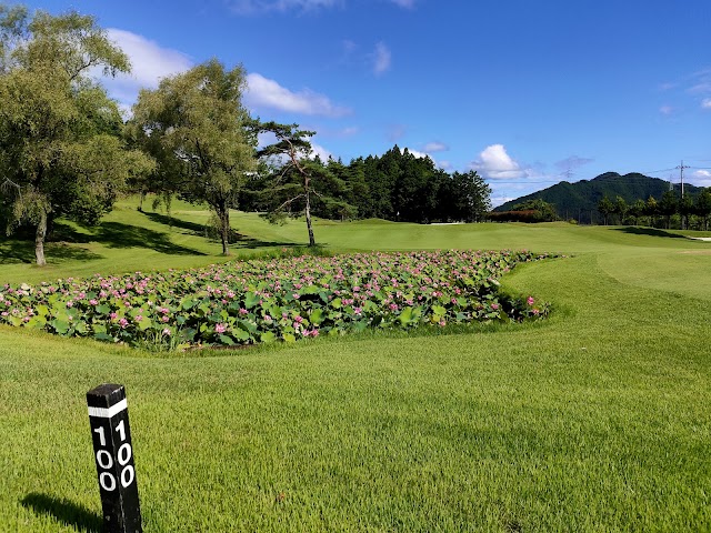 Deer Lake Country Club - Photo 6
