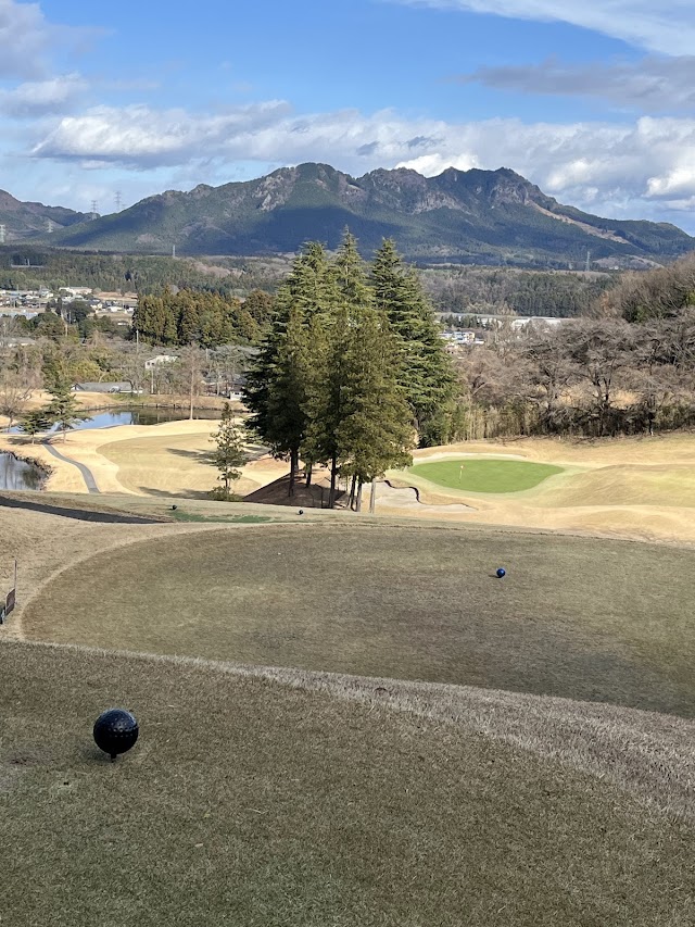 Deer Lake Country Club - Photo 3