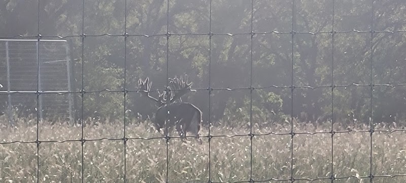 C5 Whitetails Lodge - Photo 2