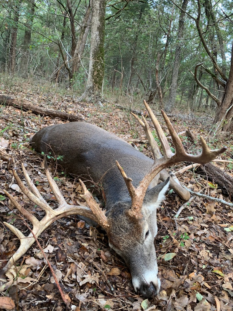 C5 Whitetails Lodge