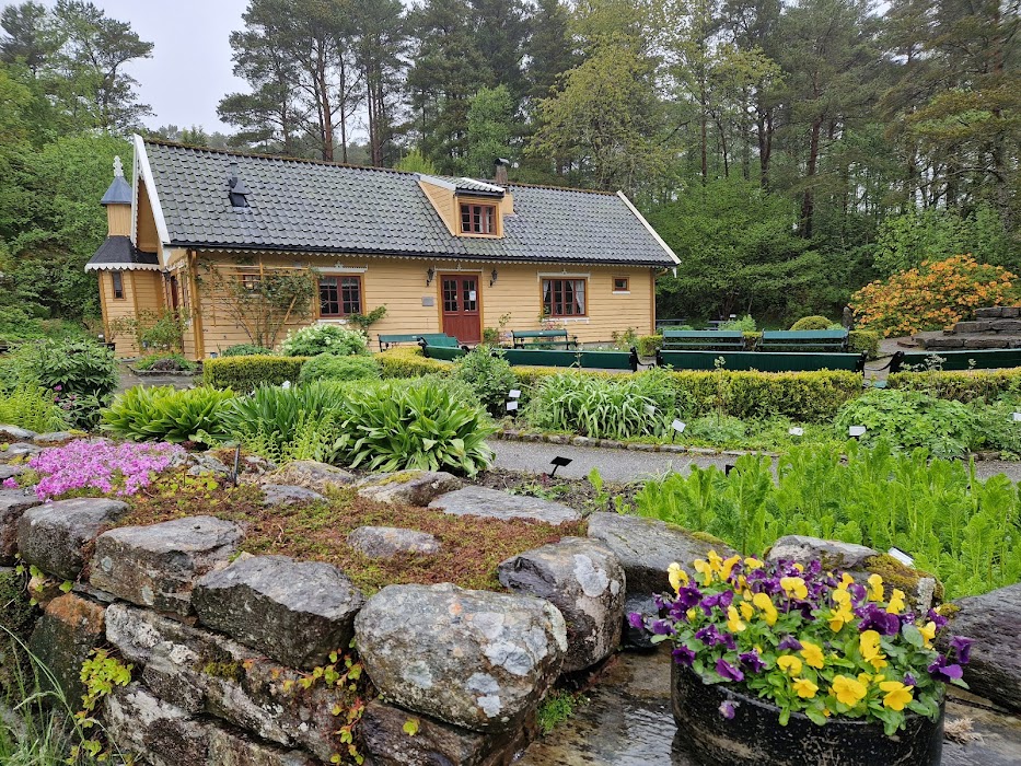University gardens of the University Museum Bergen fotoğraf 1