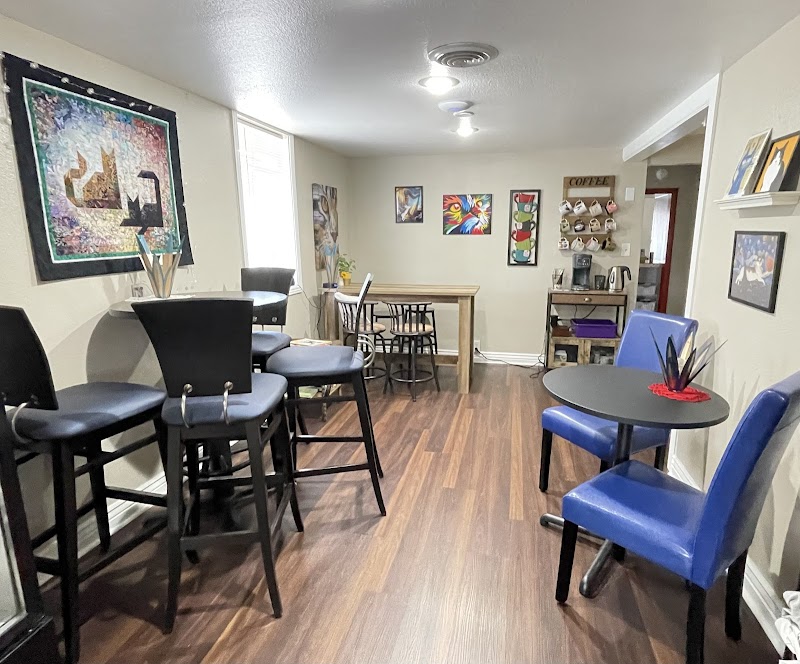 Comfort & Joy Cat Cafe