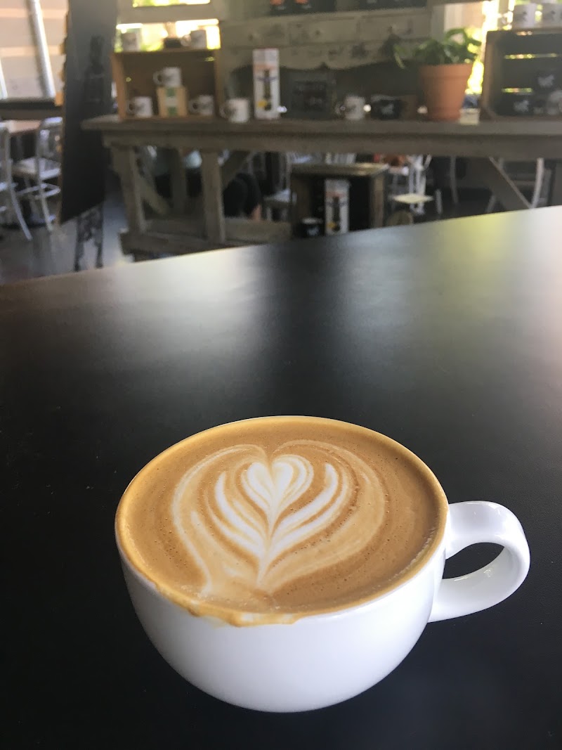 Visible Coffee Roasters photo 2