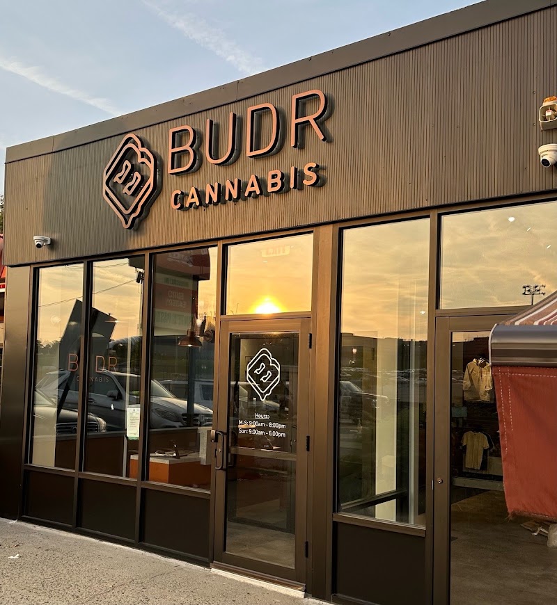 Video tour of Budr Cannabis - Yonkers retail environment