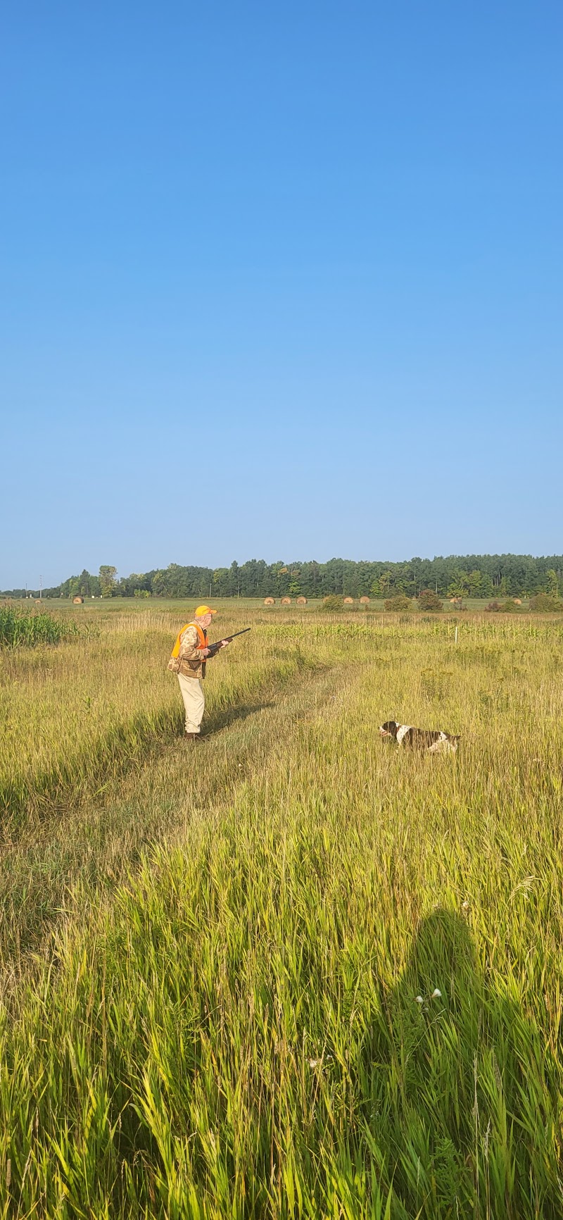 Bader's Pheasant Run - Photo 1