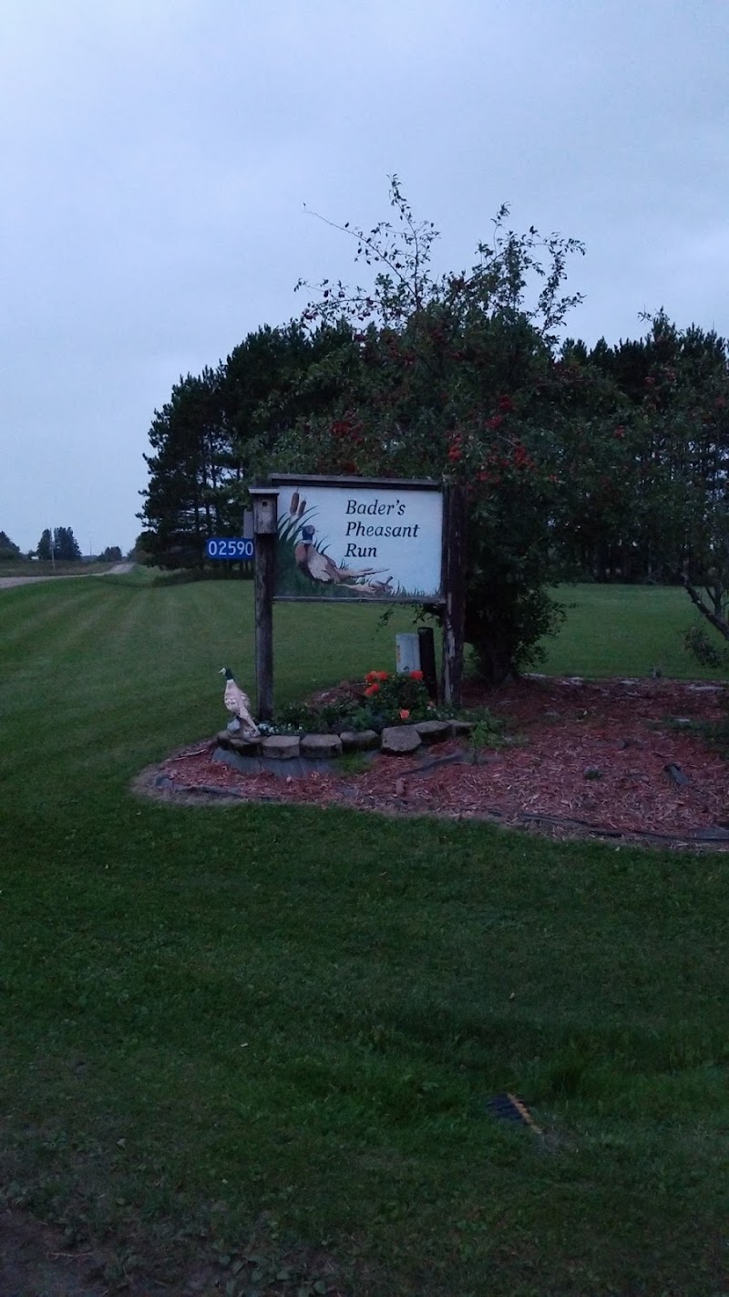 Bader's Pheasant Run - Photo 6
